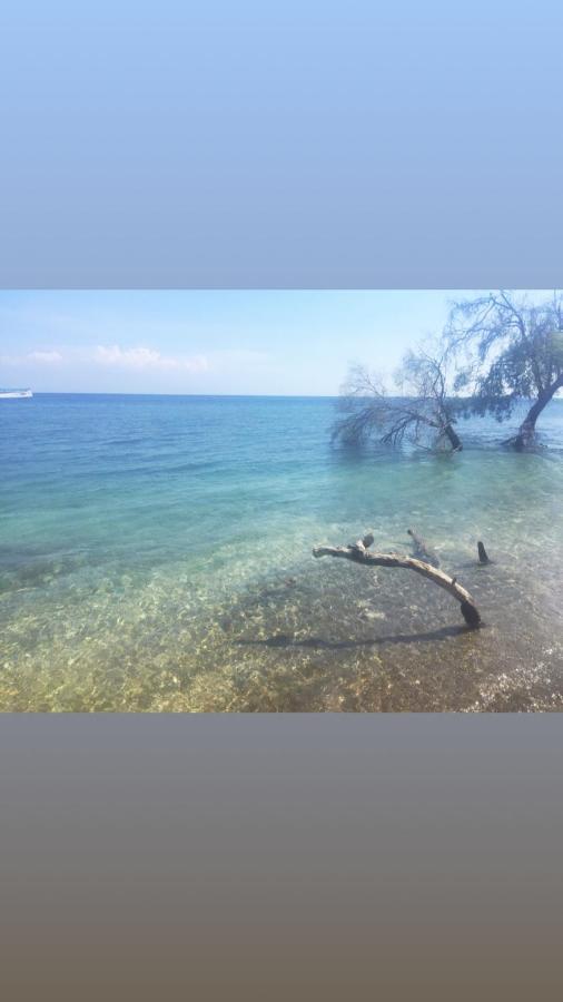 Moyo Island Maleo Moyo Hotel & Dive Resort מראה חיצוני תמונה