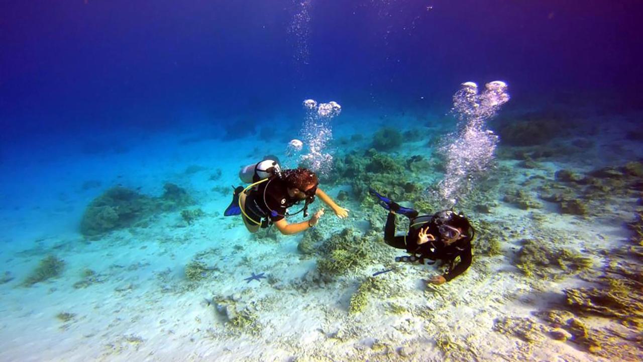 Moyo Island Maleo Moyo Hotel & Dive Resort מראה חיצוני תמונה